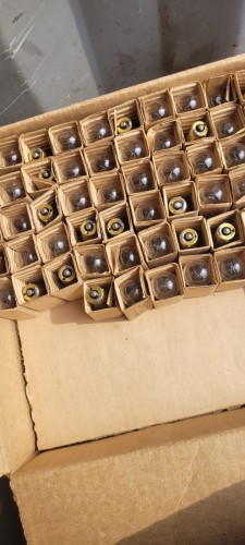 EL-24 żarówka 6V 20W 2.jpeg